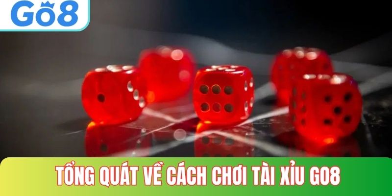 Tổng quát về cách chơi tài xỉu tại GO8