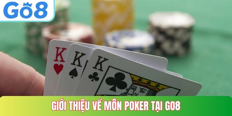 Giới thiệu về môn poker tại GO8